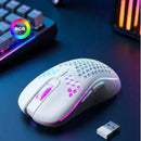 Lightweight Honeycomb Rechargeable Wireless Gaming Mouse (Type-C)