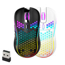 Lightweight Honeycomb Rechargeable Wireless Gaming Mouse (Type-C)
